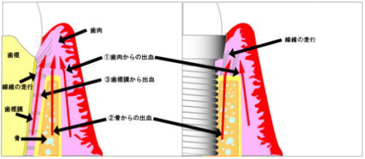 図2