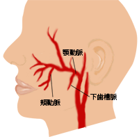 図15